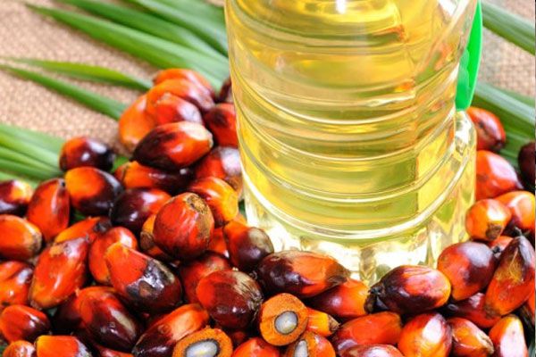 India, US palm oil imports show difference in demand, activity